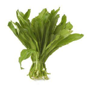 RECAO HERB