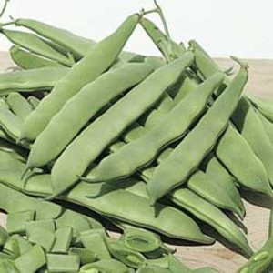 BEANS FLAT
