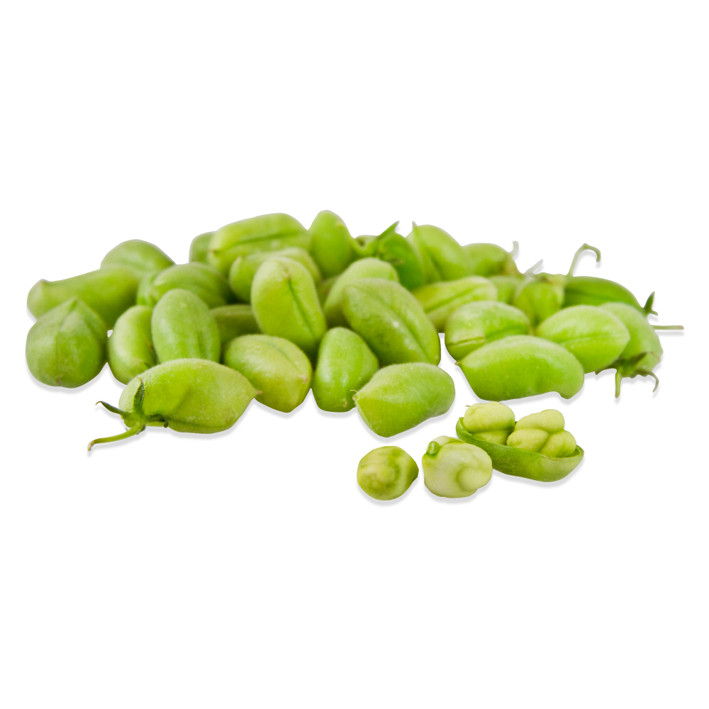 CHICK PEAS GREEN