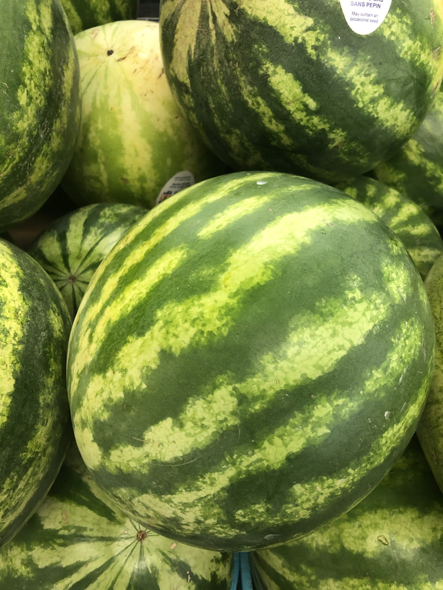 WATERMELON SEEDLESS 