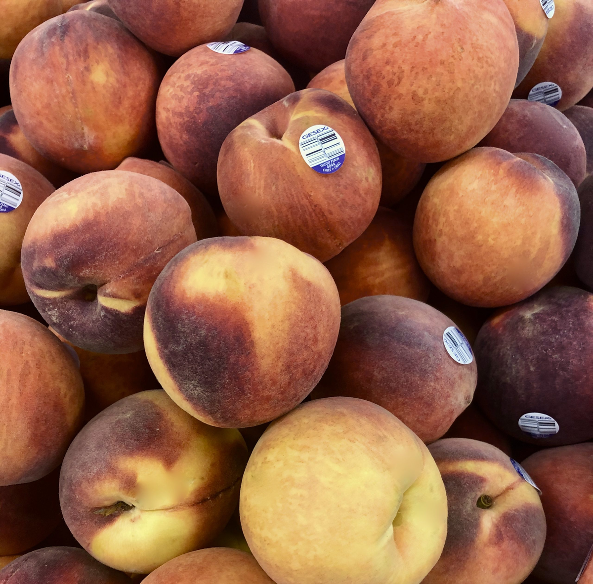 PEACH LARGE 