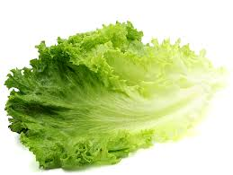 LETTUCE LEAF GREEN