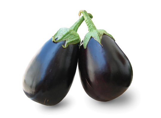EGGPLANT LARGE