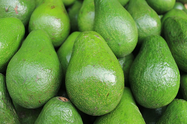AVOCADO DOMINICAN