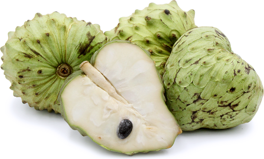 CHERIMOYA