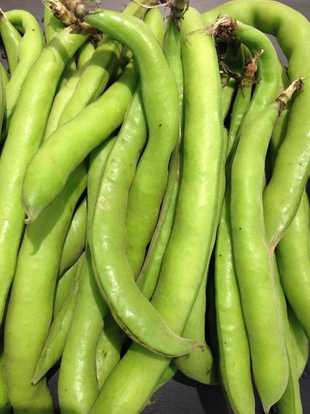 BEANS FAVA