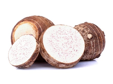 ROOT MALANGA ISLENA