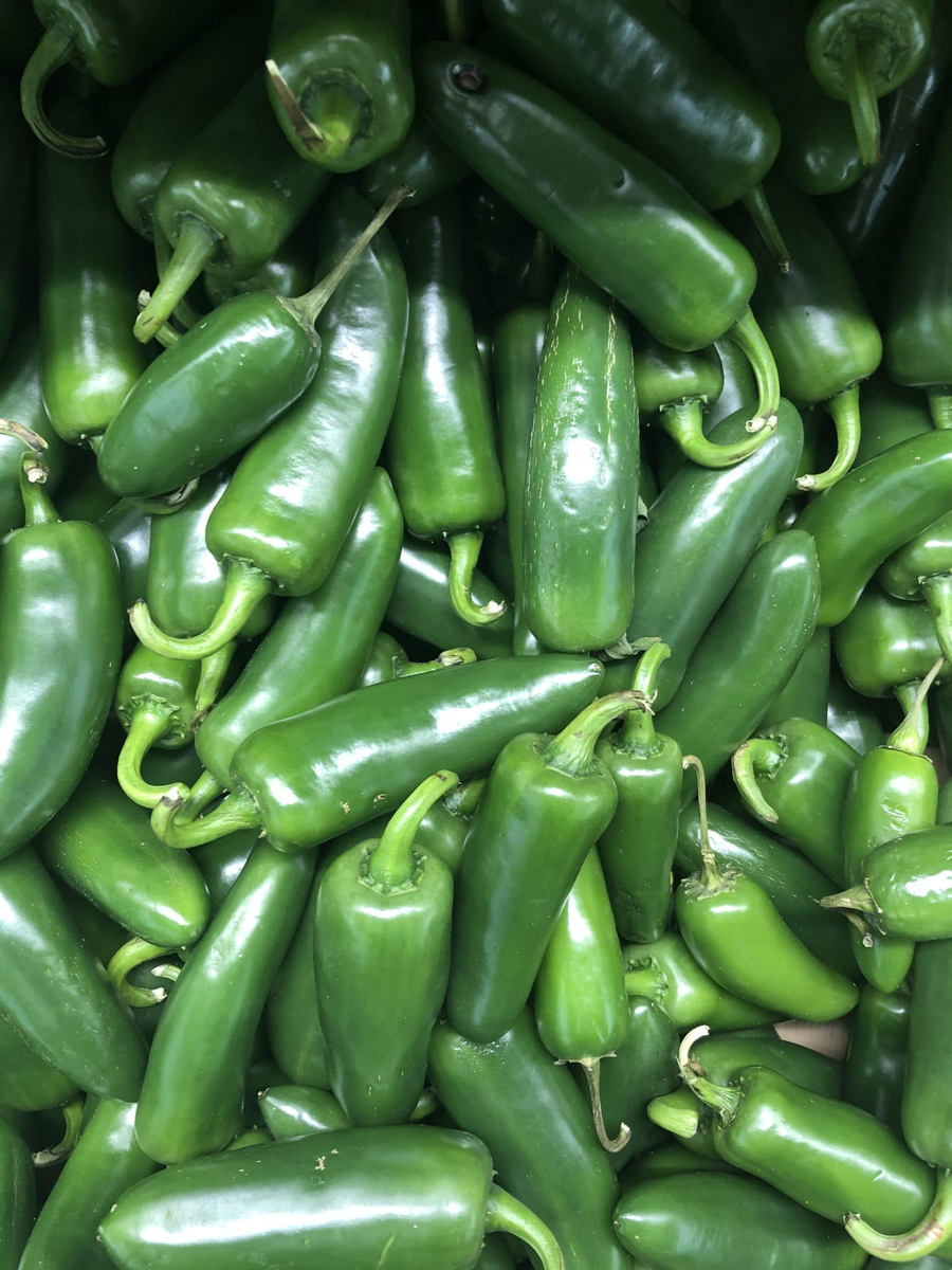 PEPPER JALAPENO