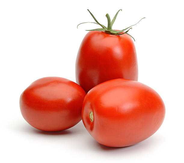 TOMATO PLUM ROMA