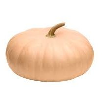 PUMPKIN ASSORTED